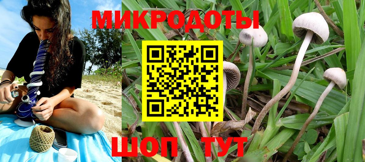 Псилоцибиновые грибы мухоморы Богородицк