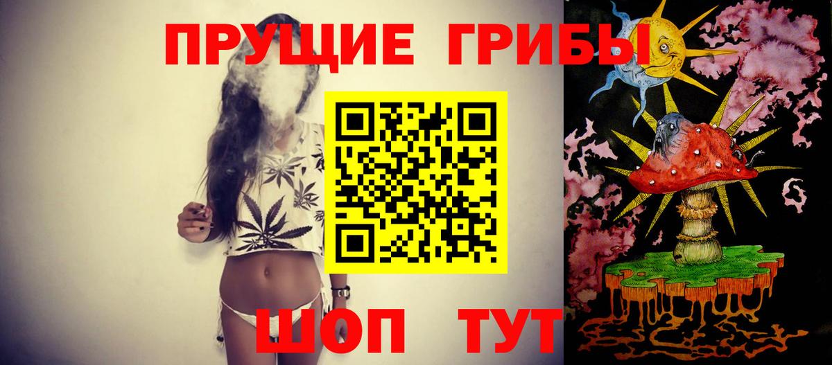 Богородицк  Галлюциногенные грибы GOLDEN TEACHER  Вход с VPN 